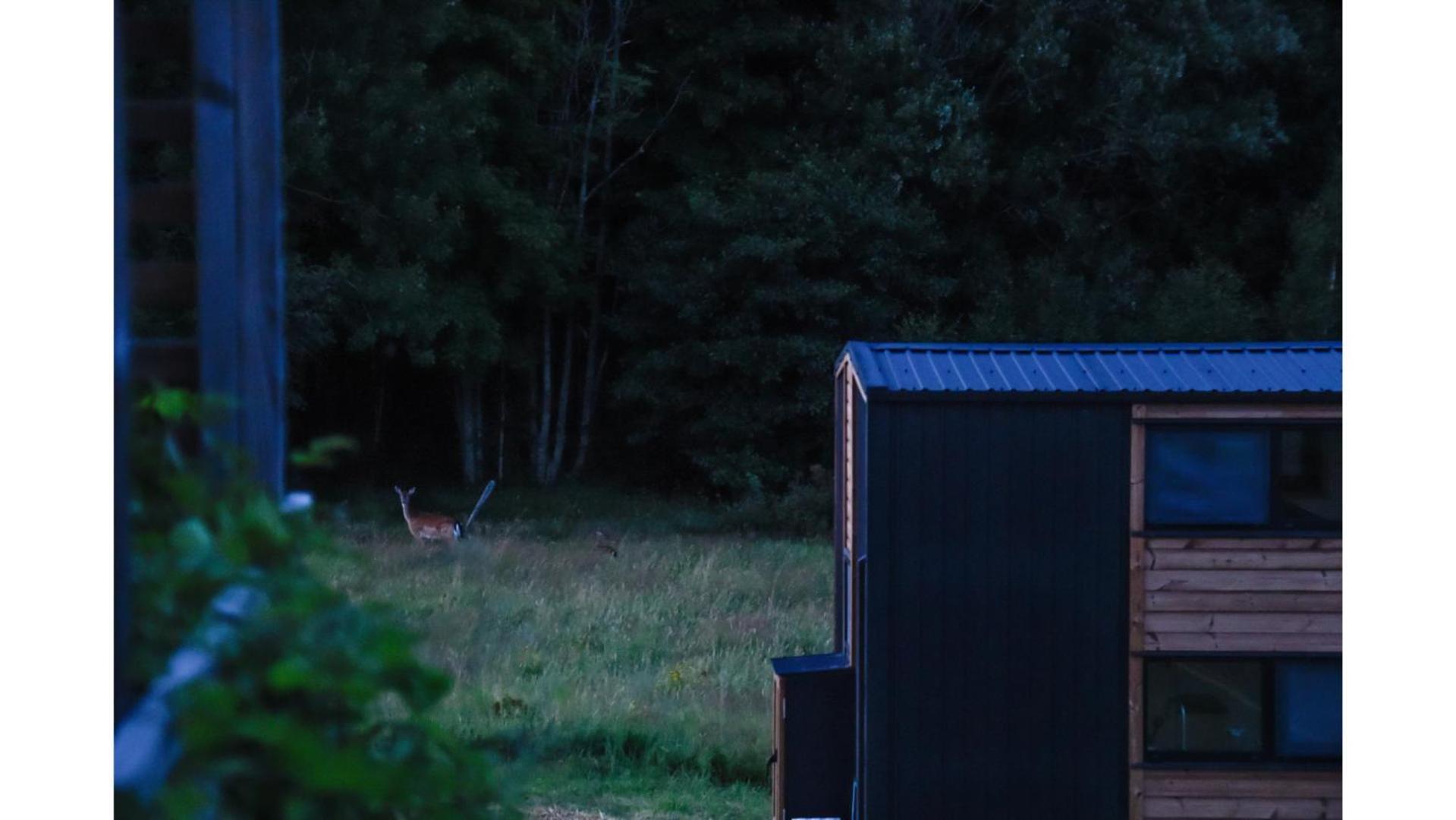 Вилла Bostebacken Gard Tiny House By Tiny Away Eckerud Экстерьер фото